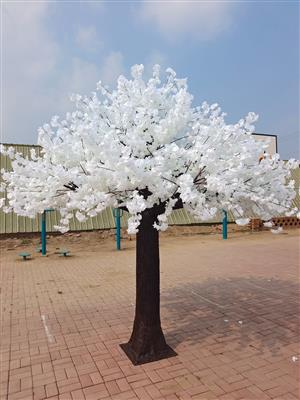Giant Cherry Blossom Tree 13' Cream