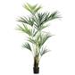 Kentia Palm Tree 93" Green